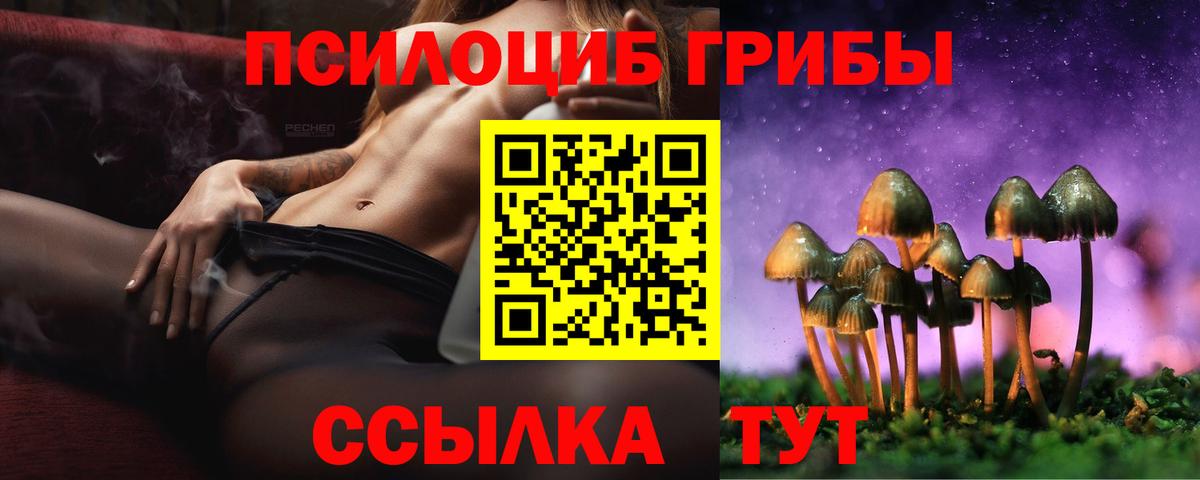 Галлюциногенные грибы GOLDEN TEACHER  Вход с VPN  Усолье-Сибирское  Галлюциногенные грибы прущие грибы 